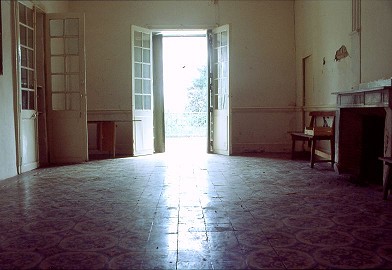 salon 1987